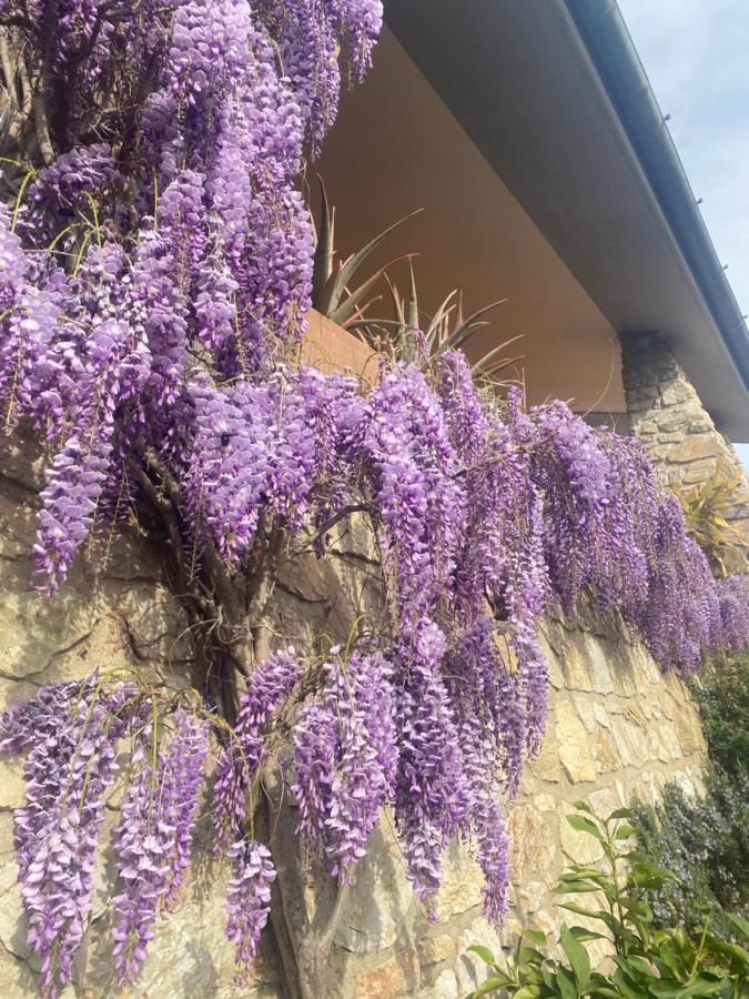 Serravalle Pistoiese B&B Fior Di Toscana מראה חיצוני תמונה